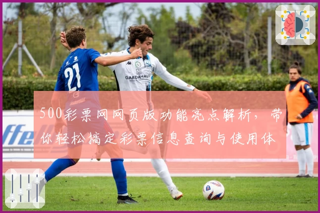 500彩票网网页版功能亮点解析，带你轻松搞定彩票信息查询与使用体验